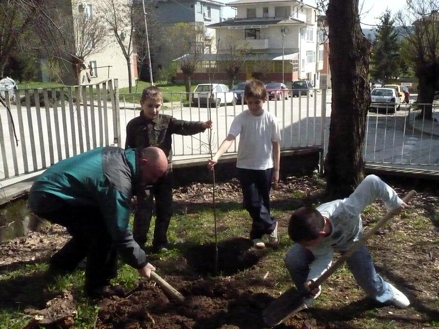 Засадихме 250 фиданки през седмицата на гората в Ксилифор