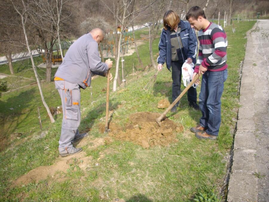 Един ден сред природата – залесяване и почистване на Ксилифор