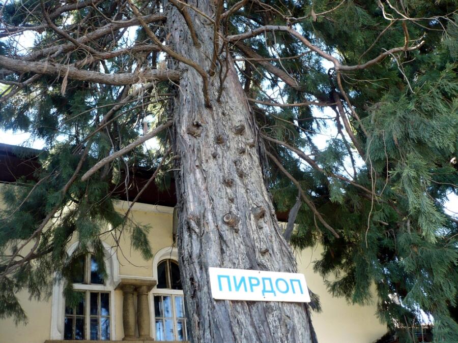 Традиционен пролетен пътуващ семинар