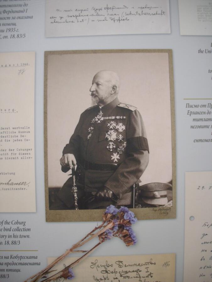 Ден на бългаската независимост
