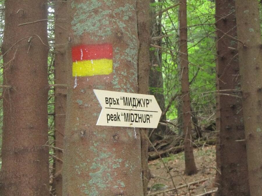 По традиция всяка година в края на месец август ТД „Трапезица-1902“ отбелязва деня на туризма