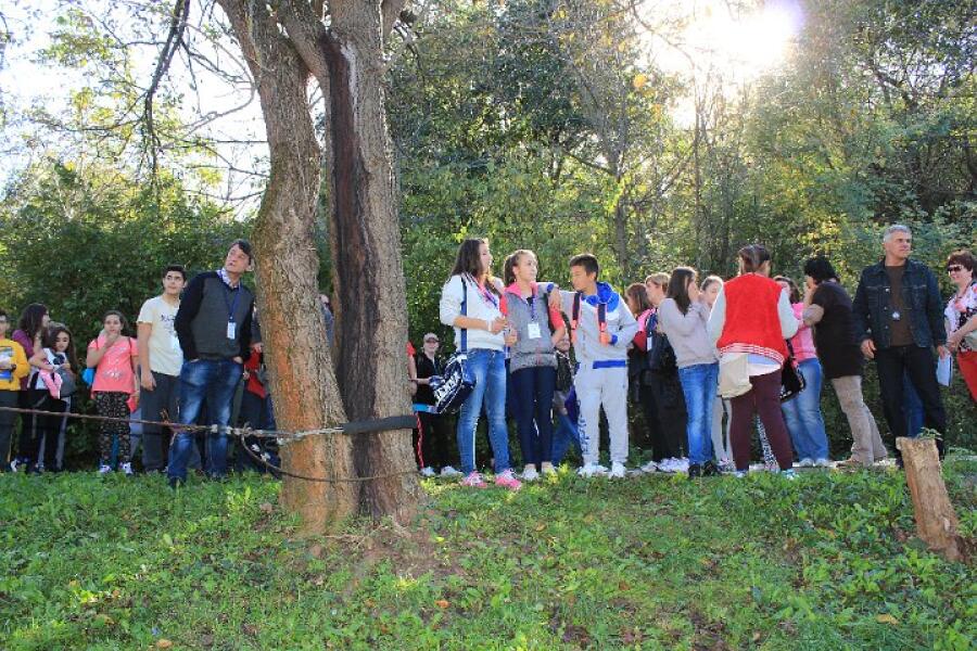Ученици и учители от 8 страни спортуваха на Ксилифор