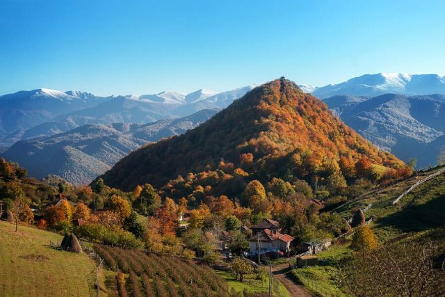 Скулптори и фотографи дариха произведения за благотворителния търг