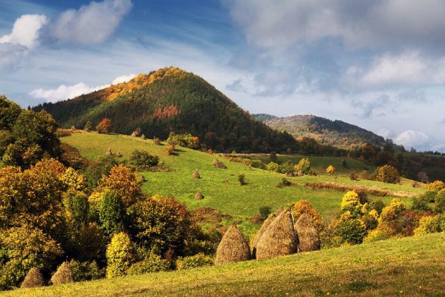 Скулптори и фотографи дариха произведения за благотворителния търг