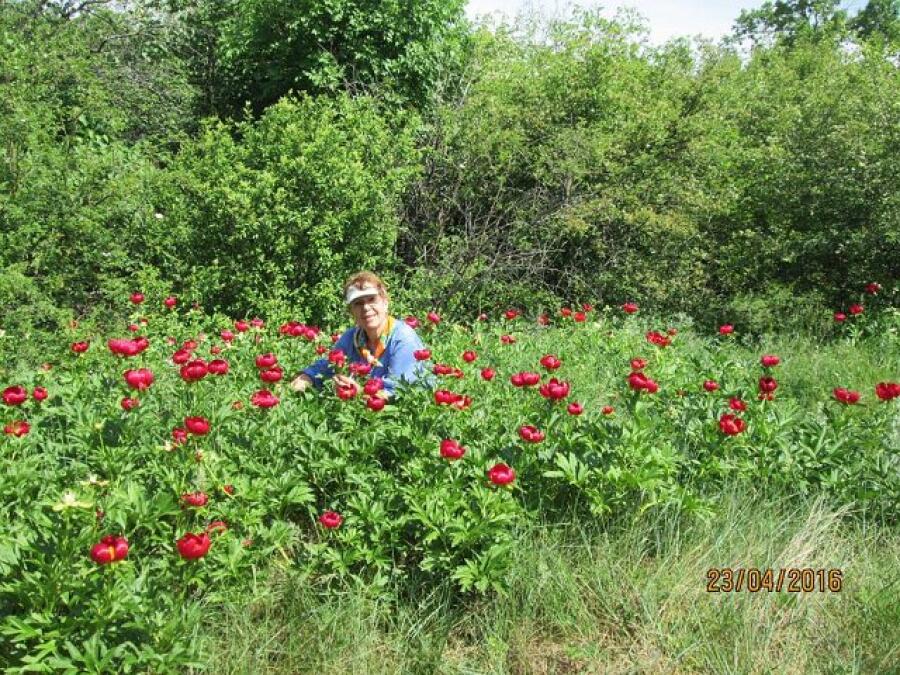 Пролетна кампания "Движи се и победи" – първи етап