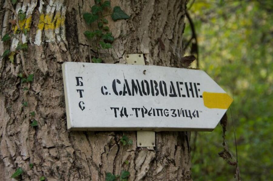 Есенна кампания „Движи се и победи” – трети етап