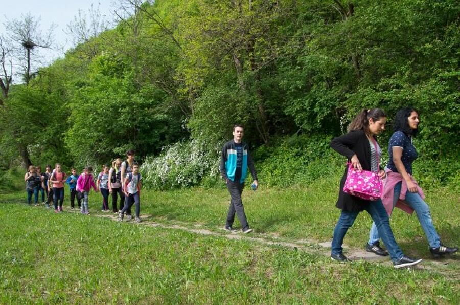 Пролетна кампания "Движи се и победи" – първи етап