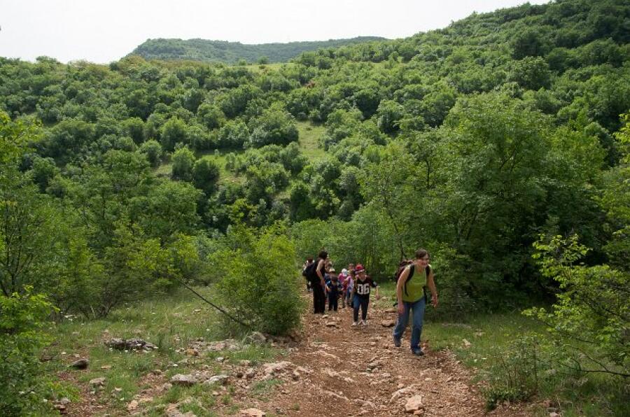Пролетна кампания "Движи се и победи" – втори етап