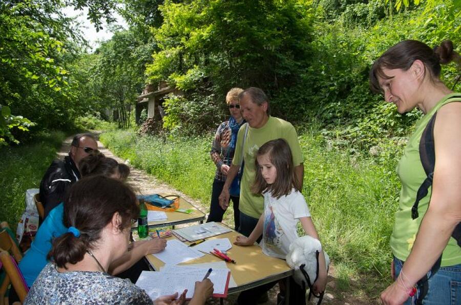 Пролетна кампания "Движи се и победи" – втори етап