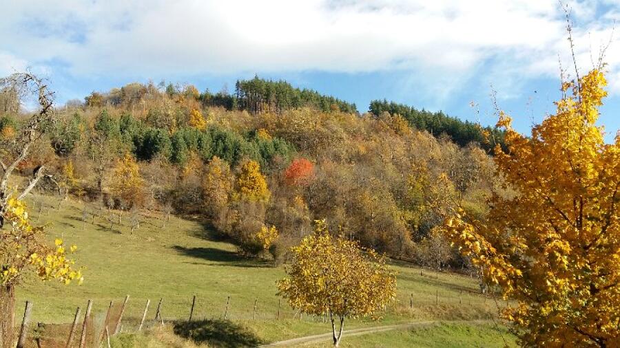 Есенно "Слънце в раницата"