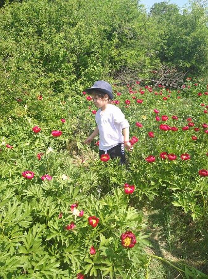 Пролетна кампания "Движи се и победи" – първи етап