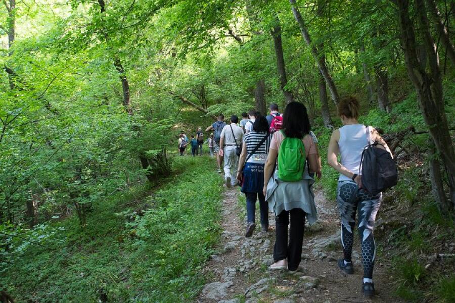 Пролетна кампания "Движи се и победи" – първи етап