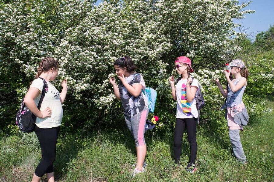 Пролетна кампания "Движи се и победи" – първи етап