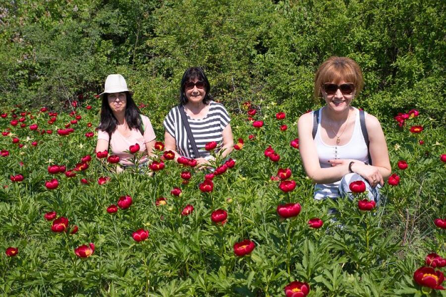 Пролетна кампания "Движи се и победи" – първи етап