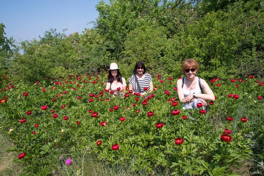 Пролетна кампания "Движи се и победи" – първи етап