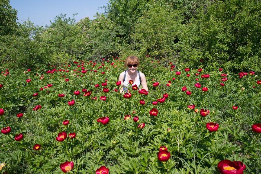 Пролетна кампания "Движи се и победи" – първи етап