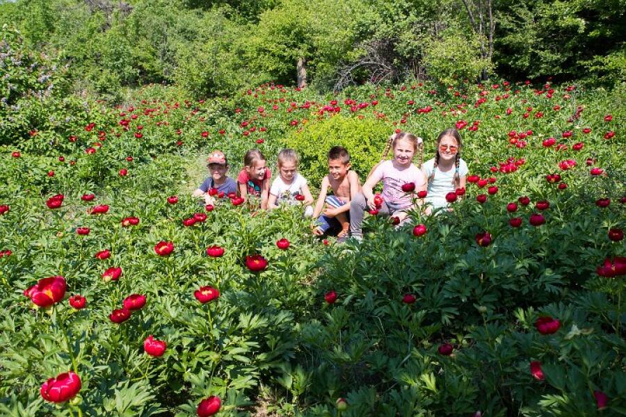 Пролетна кампания "Движи се и победи" – първи етап