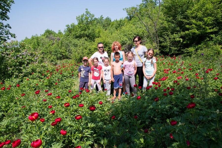Пролетна кампания "Движи се и победи" – първи етап