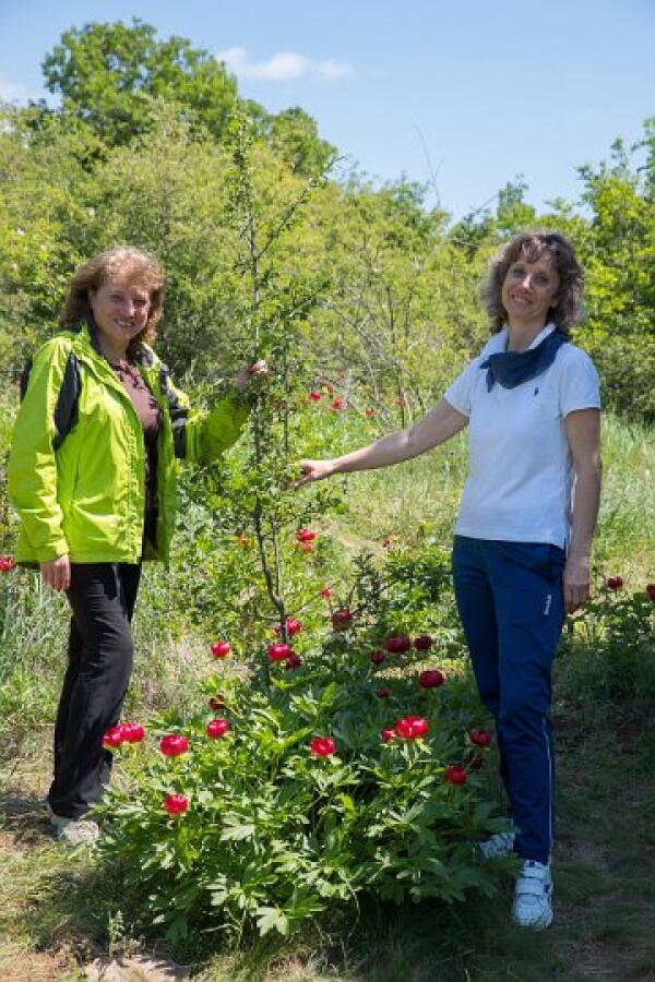 Пролетна кампания "Движи се и победи" – първи етап