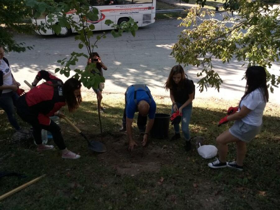 Ученици засаждаха дръвчета в парк Ксилифор по национален проект „Бъдещето на планетата“