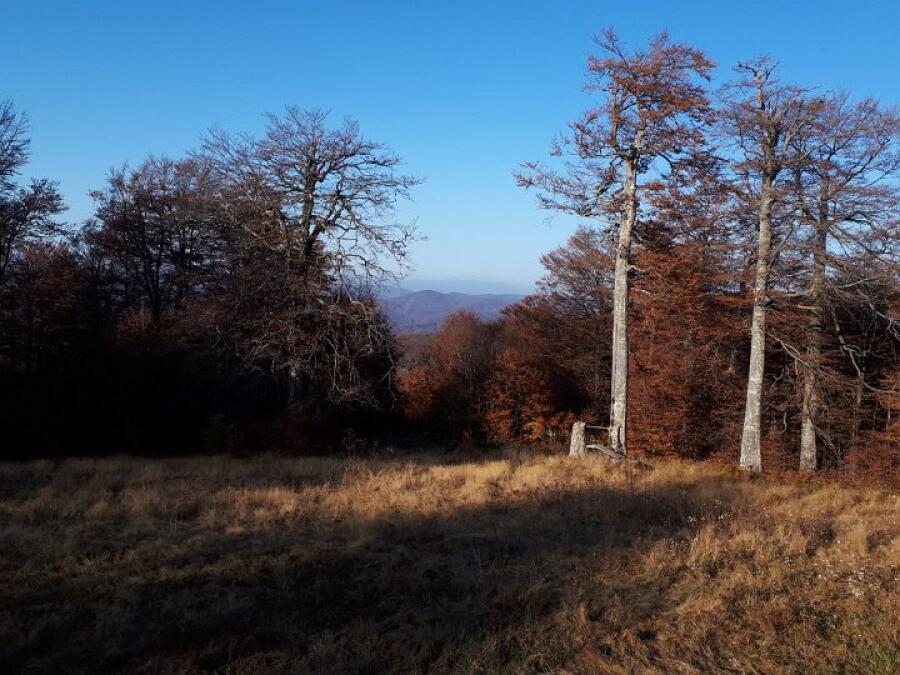 Есенен семинар на учителите на хижа Чумерна