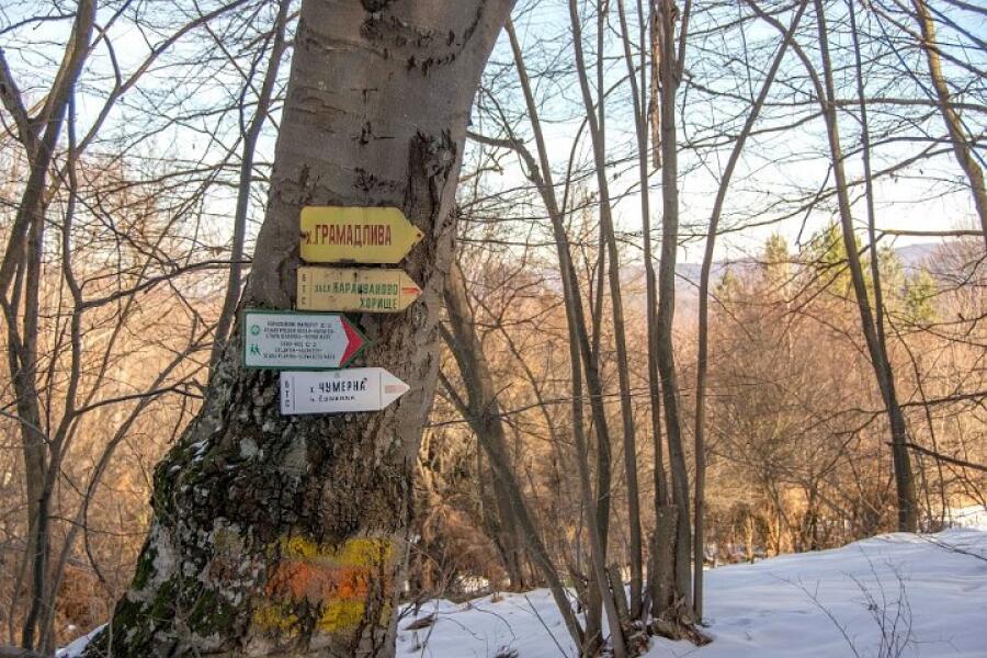 Учебна спасителна акция в Еленския балкан