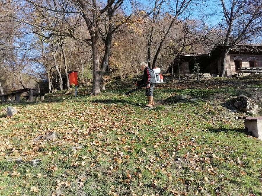 Есенно почистване на Ксилифор
