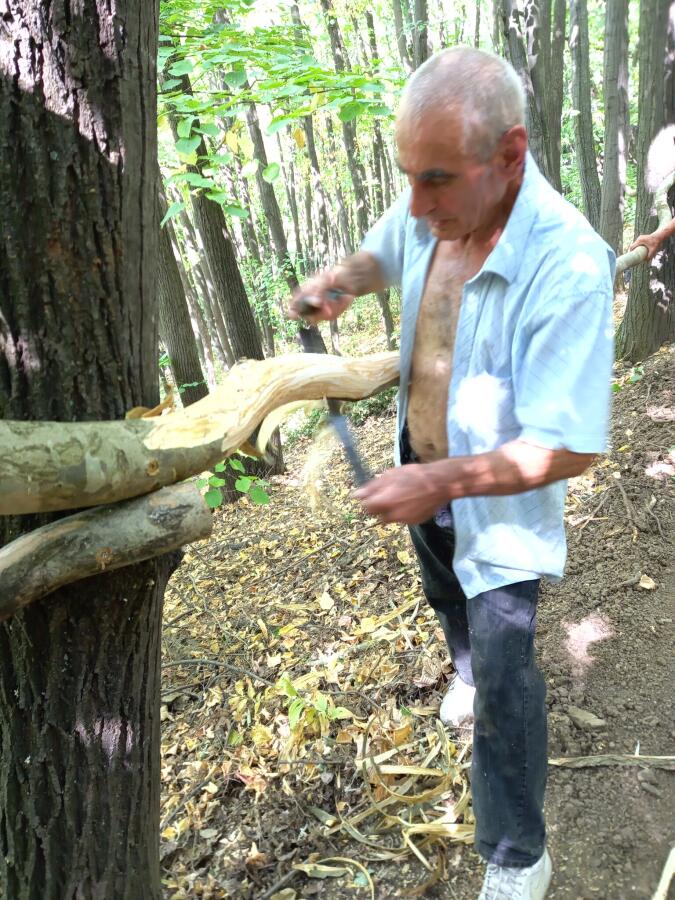 Пешеходен туристически маршрут "Вали компютърс": с. Шереметя – хълм „Момина крепост“ – парк „Ксилифор“ – с. Шереметя