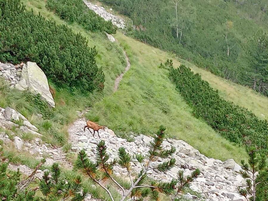 Ексукрзионно летуване в Рила