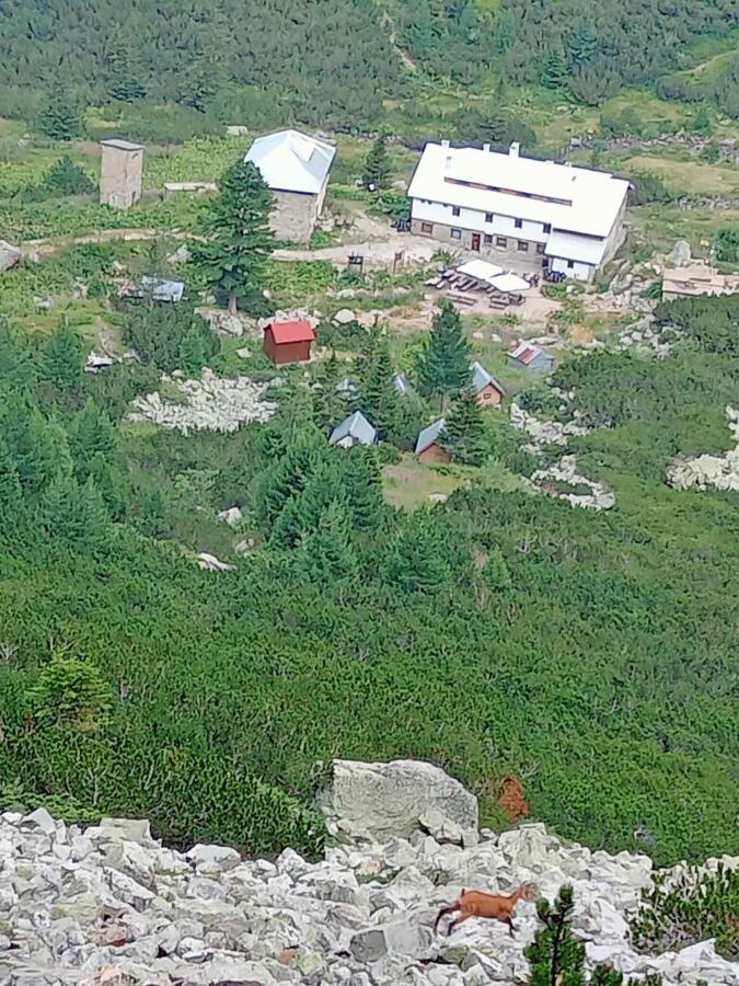 Ексукрзионно летуване в Рила