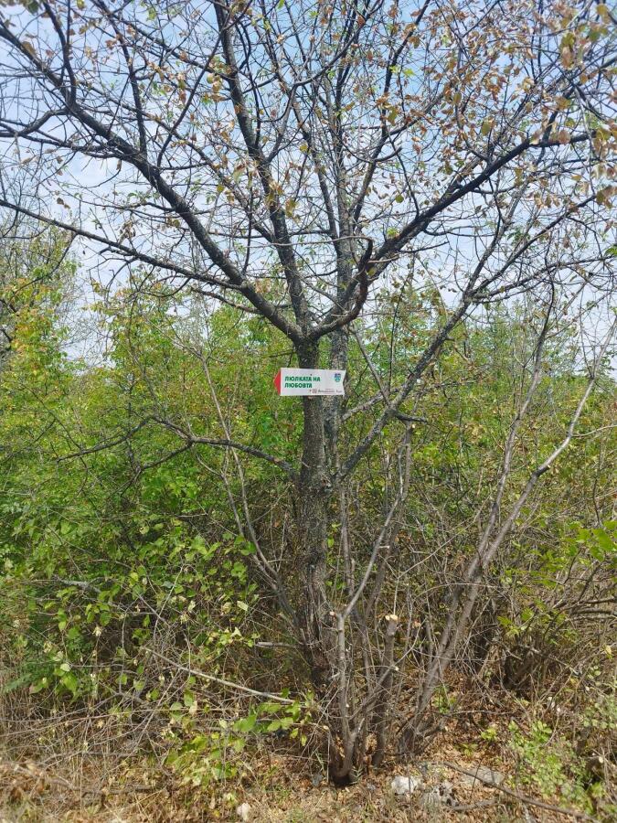 Завърши подновяването на пешеходния туристически маршрут кв. Асенов - Гарга баир - Люлката на любовта - с. Арбанаси