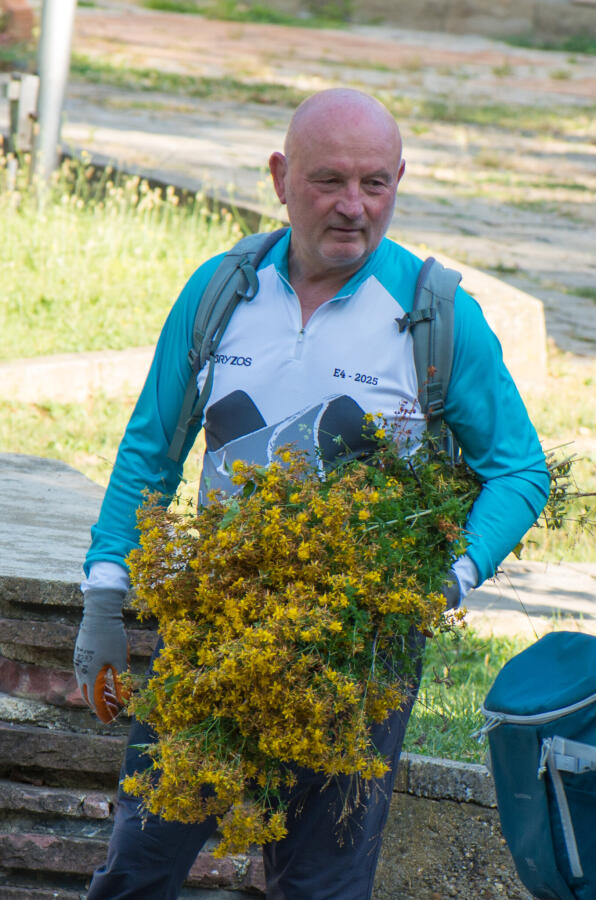 Еньовден на Ксилифор – слънце, билки и български дух