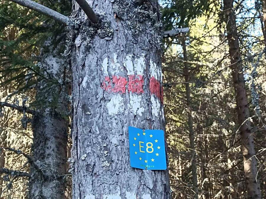 По следите на Е8: Трима колоездачи поемат през Родопа планина