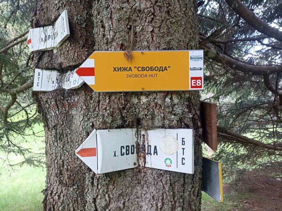 По следите на Е8: Трима колоездачи поемат през Родопа планина