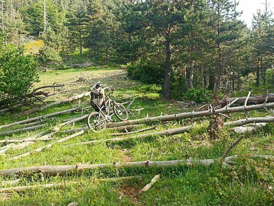 По следите на Е8: Трима колоездачи поемат през Родопа планина
