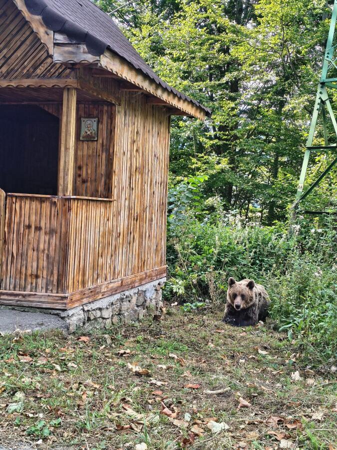 Клубът по пешеходен туризъм "Трапезица-1909" на разходка из Карпатите през септември